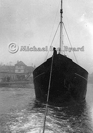 Manihine Bow